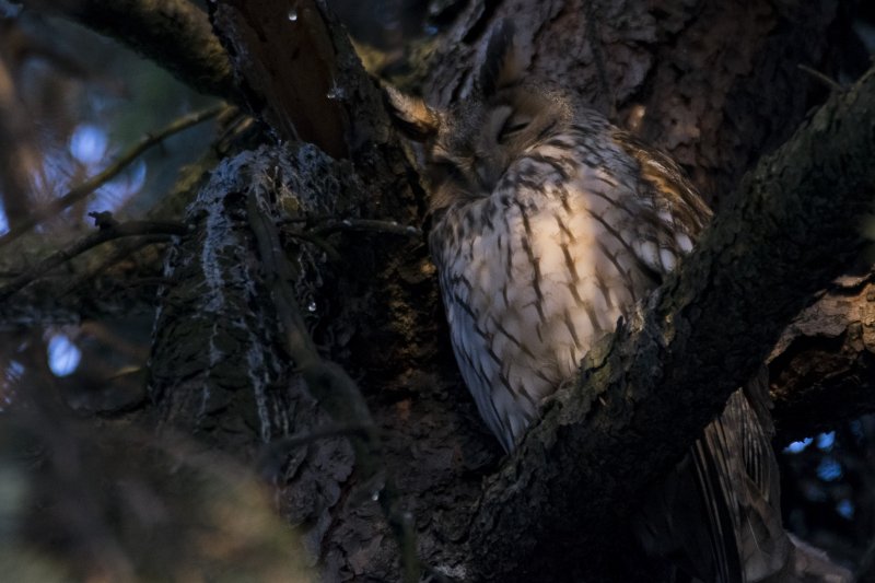 Fotó: Balog László