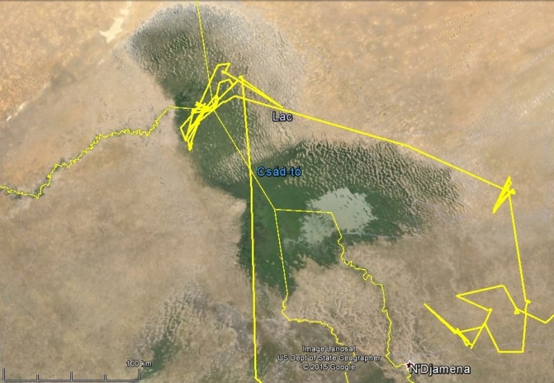 Varbó mozgása a Csád-tó környékén, 2014 telén (forrás: http://satellitetracking.eu/)