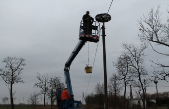 Fészekkarbantartás (Fotó: Kertész László)