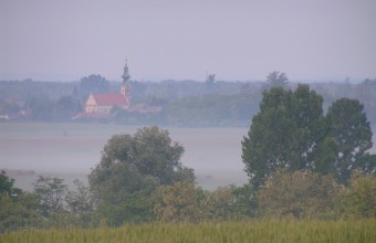 Szántó-gyep (Fotó: Aczél Gergely)