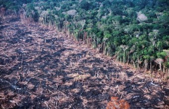 Erdőirtás az Amazonas-medencében