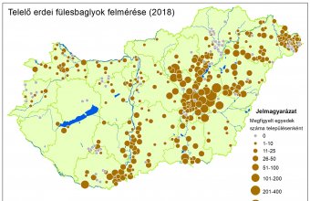 A 2018. január 19-22. között zajló országos telelő erdei fülesbagoly számolás eredményei (Forrás: MME monitoring Központ)