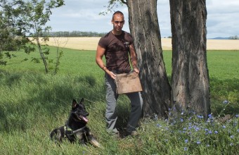 "Falco" a HELICON parlagosas-védelmi LIFE program keresőkutyája (Fotó: BNPI archívum).