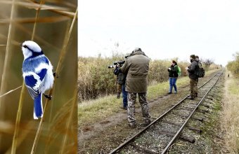 A fantasztikus megjelenésű madár és néhányan a megfigyelők közül (Fotók: Orbán Zoltán)