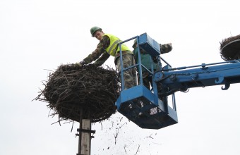 Karbantartási munkálatok (Fotó: Kertész László)